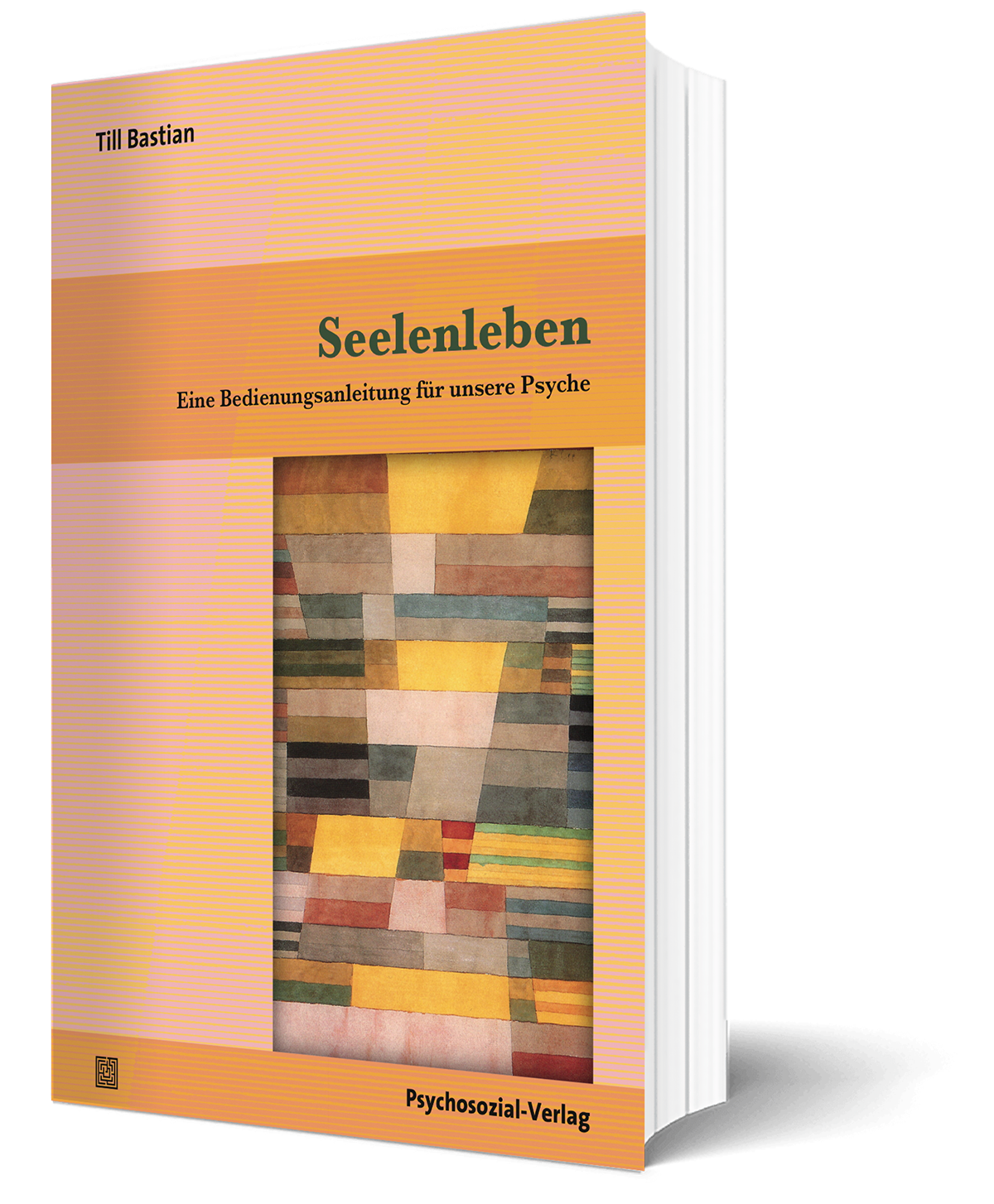 Buchtitel Seelenleben