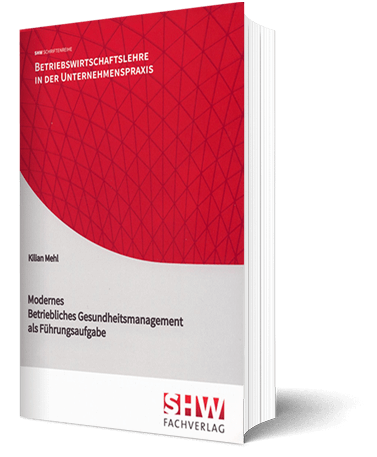 Buchtitel Modernes Betriebliches Gesundheitsmanagement als Führungsaufgabe